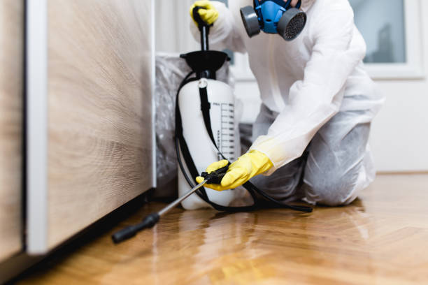 Best Best Pest Control Companies  in Bling, AR