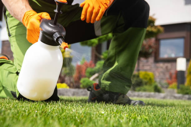 Best Local Pest Control Services  in Bling, AR