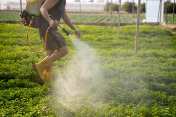 Pest Control for Restaurants in Barling, AR