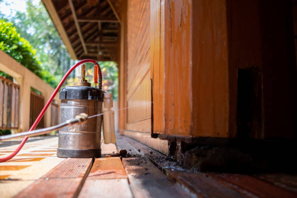 Best Mosquito Control Services  in Bling, AR